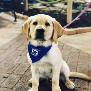 Meet your Posher, Garland